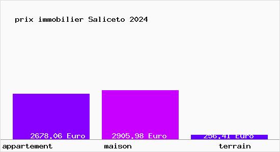 prix immobilier Saliceto